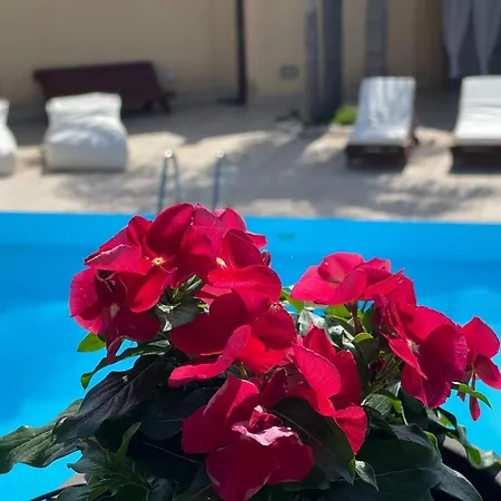 Il Filo Di Perle Luxury